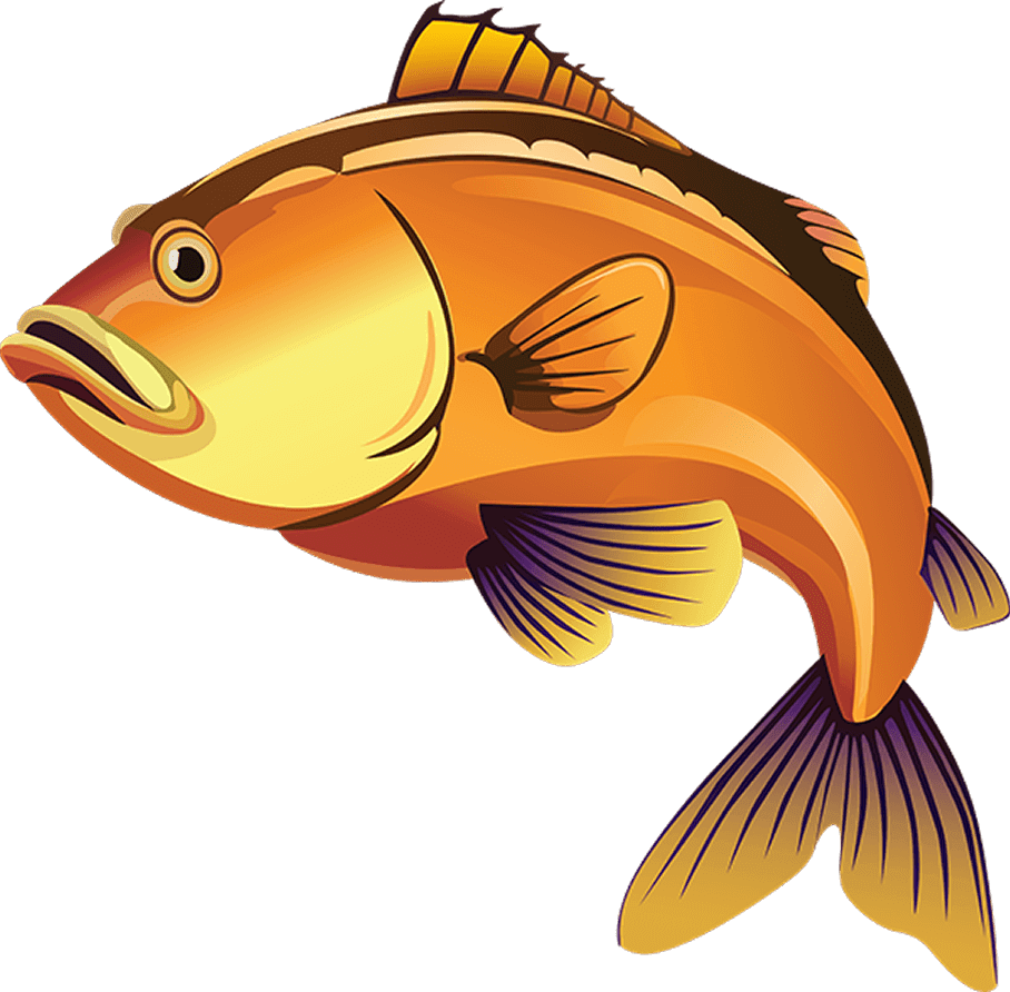 Big Oranges fish symbol